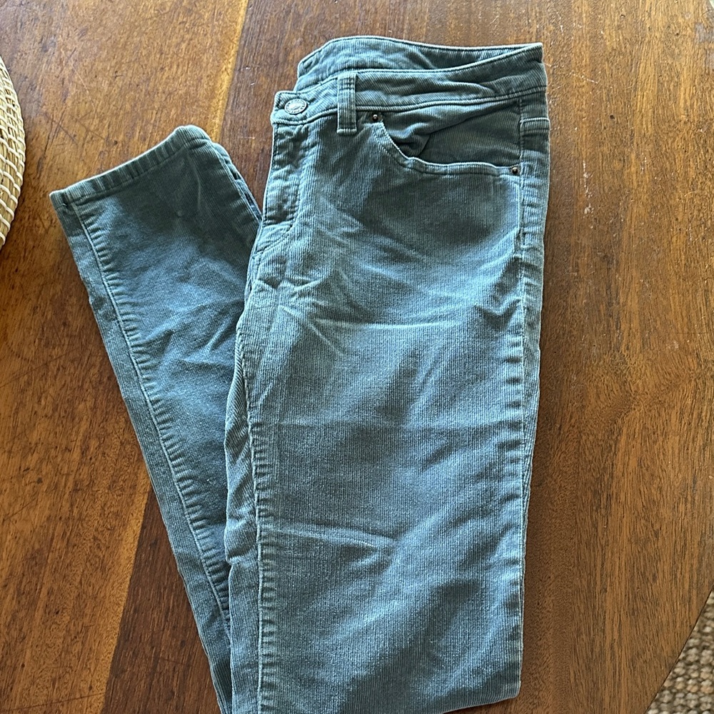 Patagonia Women's Teal Skinny Jeans